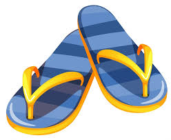 flip-flop