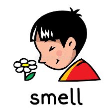 smell