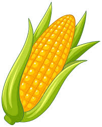 cob
