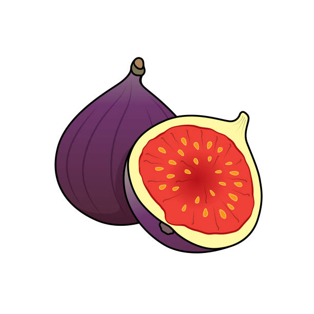 fig