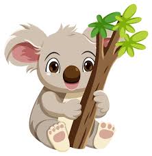 koala