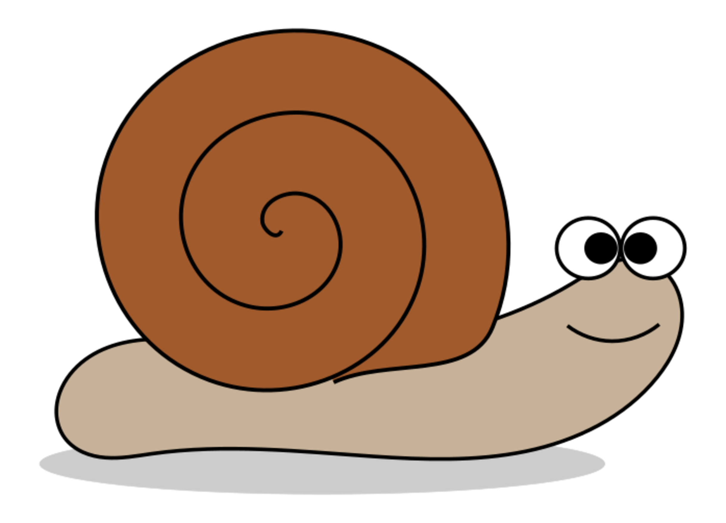 snail