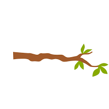 branch