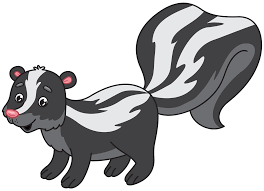 Skunk