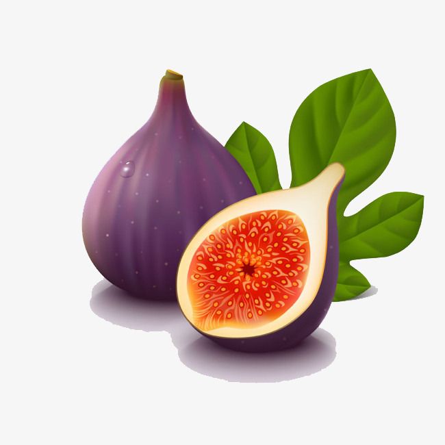 fig
